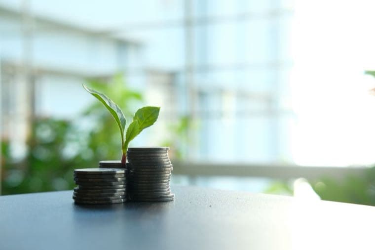 Coins stacked with a growing plant, representing dividend income and tax in Australia